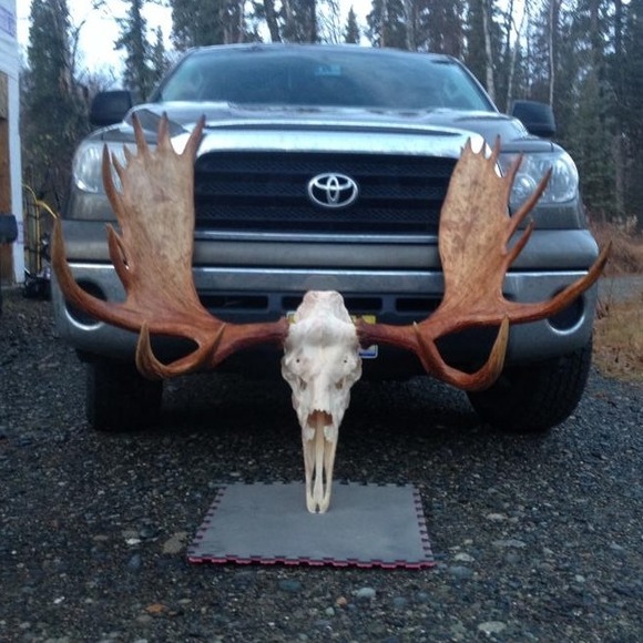 Meet your Posher, Jason - Picture 1 of 1